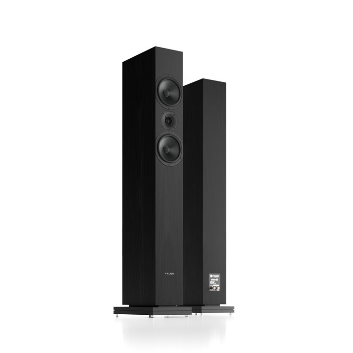 Pylon Audio Zirkon 20 Czarny amerykański orzech 1szt - Gwarancja producenta - Raty 0% - Salon Łódź