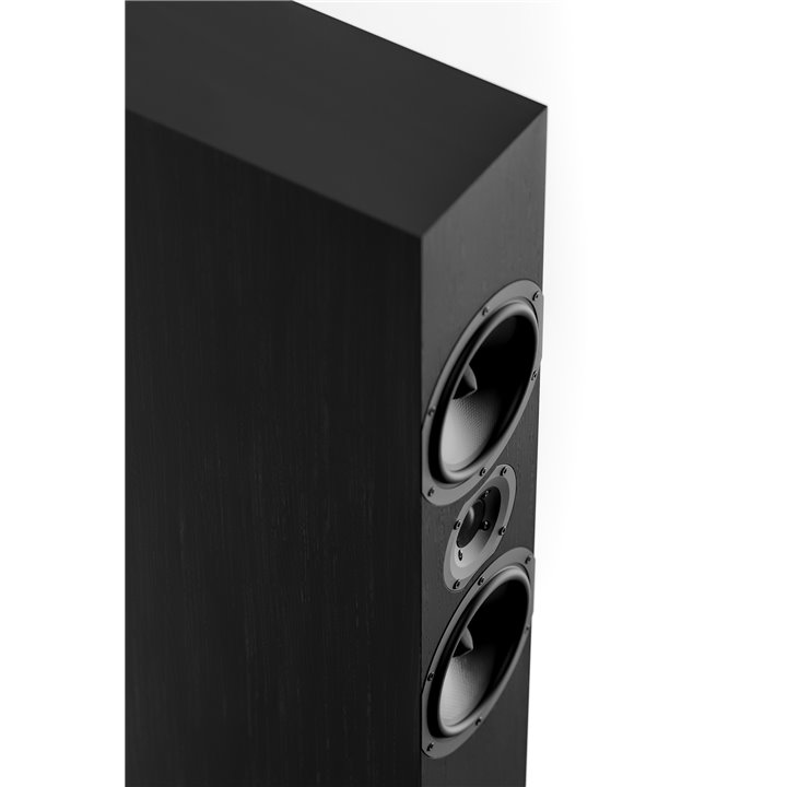 Pylon Audio Zirkon 20 Czarny amerykański orzech 1szt - Gwarancja producenta - Raty 0% - Salon Łódź