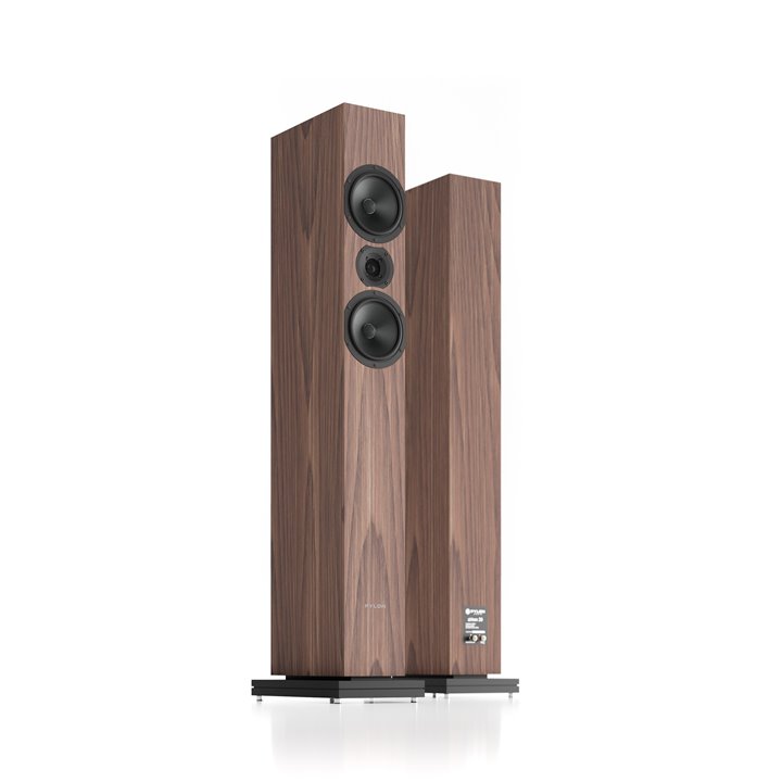 Pylon Audio Zirkon 20 Amerykański orzech 1szt - Gwarancja producenta - Raty 0% - Salon Łódź