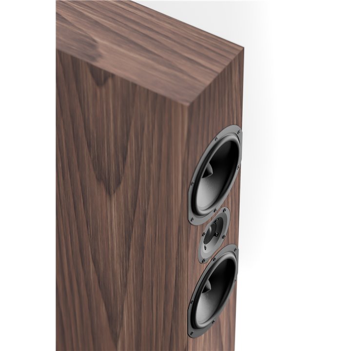 Pylon Audio Zirkon 20 Amerykański orzech 1szt - Gwarancja producenta - Raty 0% - Salon Łódź