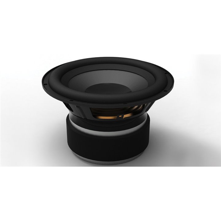 GoldenEar Technology SuperSub X