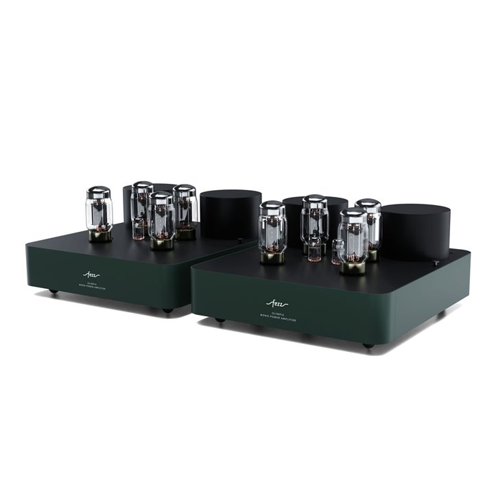 Fezz Olympia Evo Power Amplifier (Evergreen) 1szt. /Raty 0% - Gwarancja producenta - Salon Łódź
