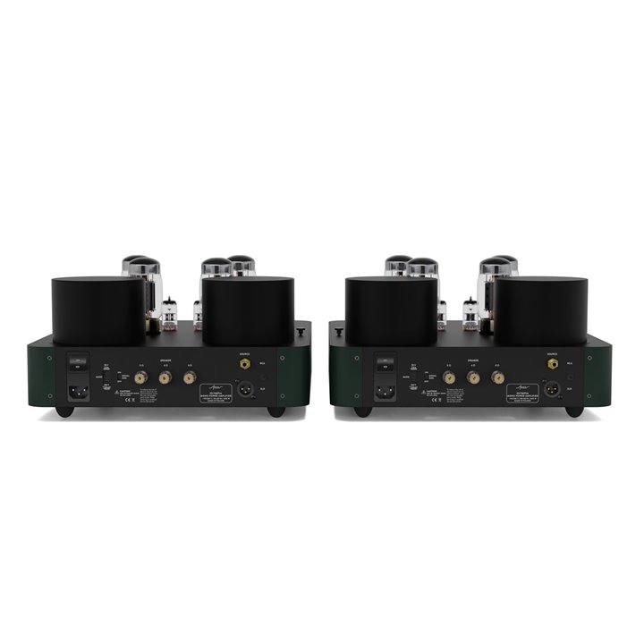Fezz Olympia Evo Power Amplifier (Evergreen) 1szt. /Raty 0% - Gwarancja producenta - Salon Łódź