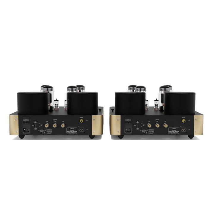 Fezz Olympia Evo Power Amplifier (Sunlight) 1szt. /Raty 0% - Gwarancja producenta - Salon Łódź