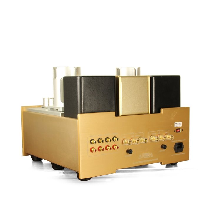 Yaqin MS-650B (Złoty)