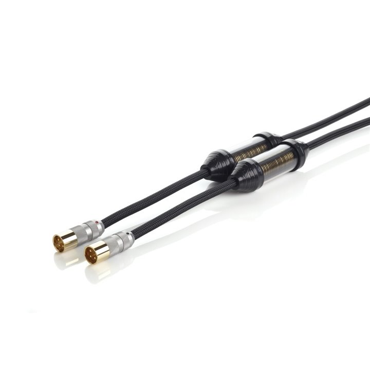 Shunyata Research Delta v2 IC XLR 1.5m