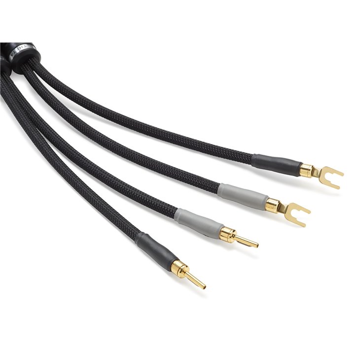 Shunyata Research Theta speaker cable 2.5m