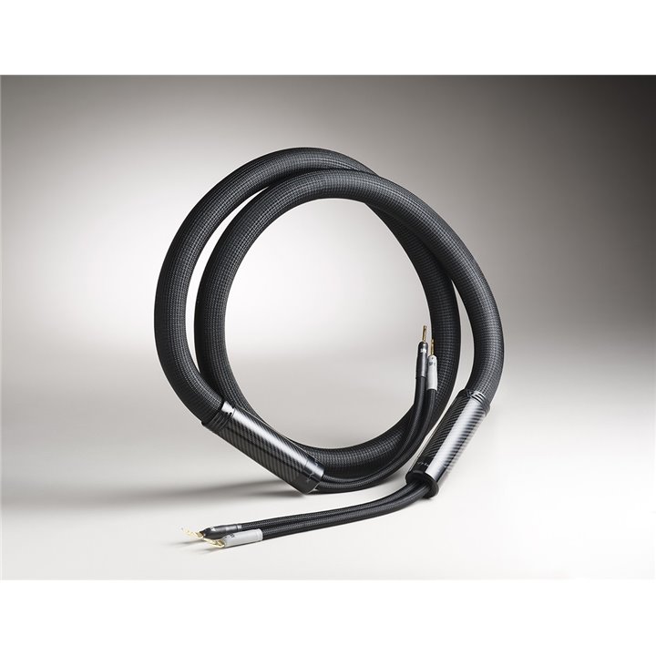 Shunyata Research Alpha-X speaker cable 2.0m - Raty 0% - Gwarancja producenta - Salon Łódź