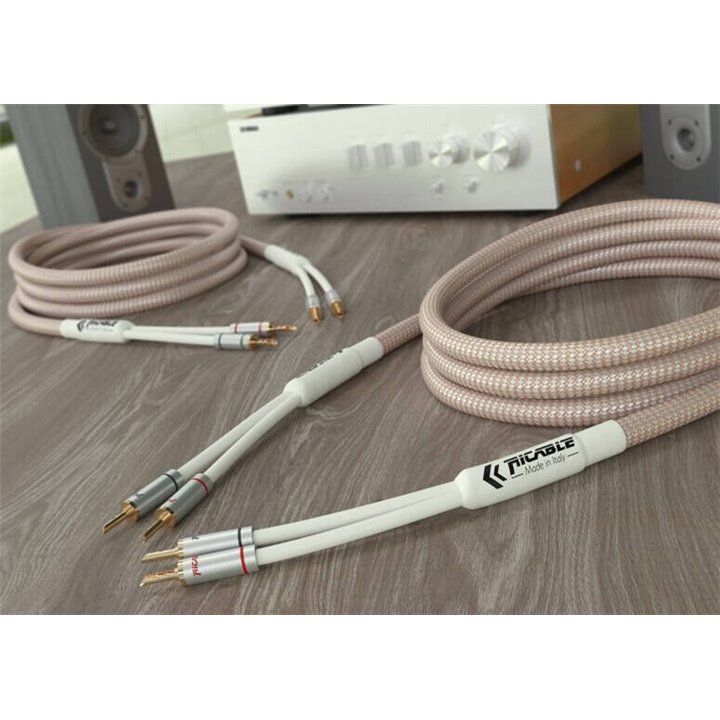 Ricable Dedalus Elite Speaker 2 x 4m