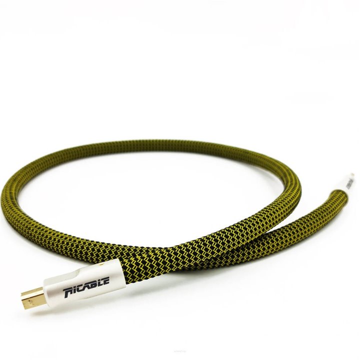 Ricable Dedalus USB 1,5 m