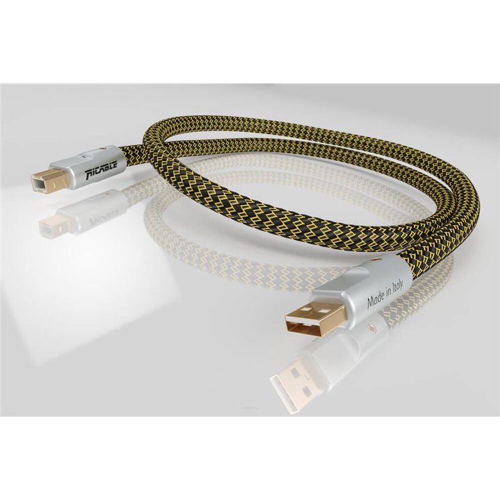 Ricable Dedalus USB 2 m