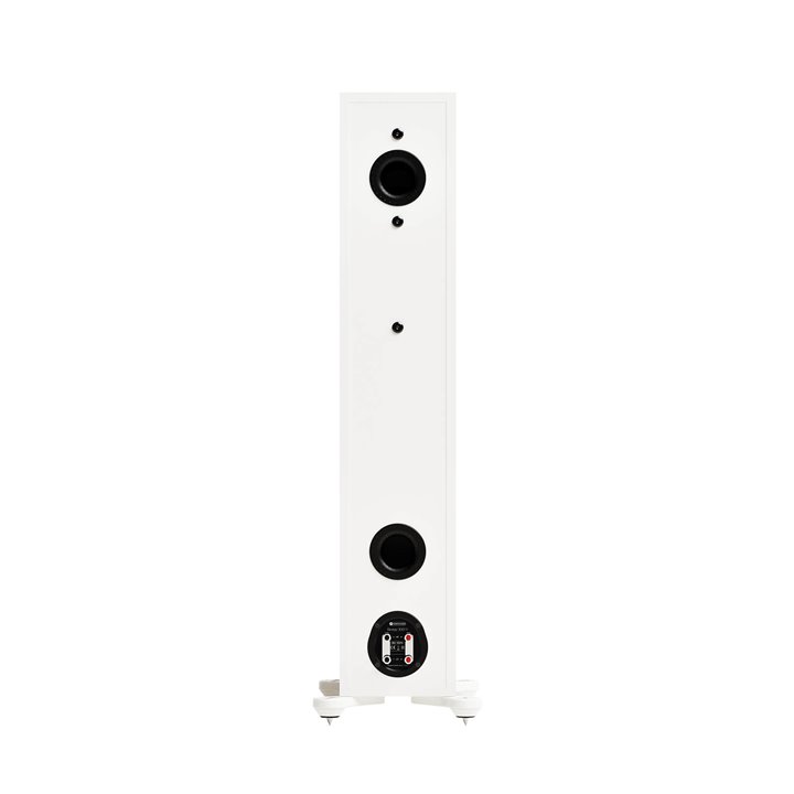 Monitor Audio Bronze 300 7G - orzech