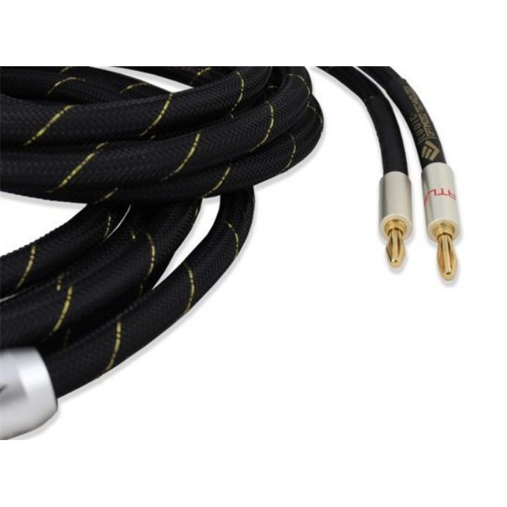 Ludic Audio Atla kabel głośnikowy 5m
