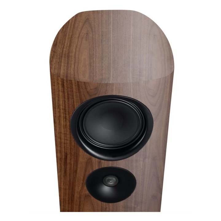 Canton Reference 5 GS Edition Walnut - 1 szt. Raty 0% - Gwarancja producenta - Salon Łódź