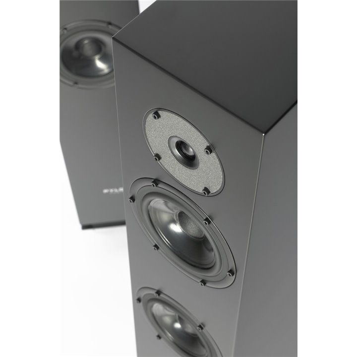 Pylon Audio Diamond 30 (Czarny lakier mat) / 1szt. - Raty 0% - Gwarancja producenta - Salon Łódź