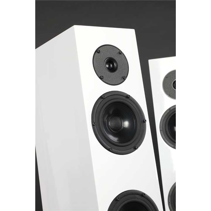 Pylon Audio Diamond 30 (Biały lakier połysk) / 1szt. - Raty 0% - Gwarancja producenta - Salon Łódź