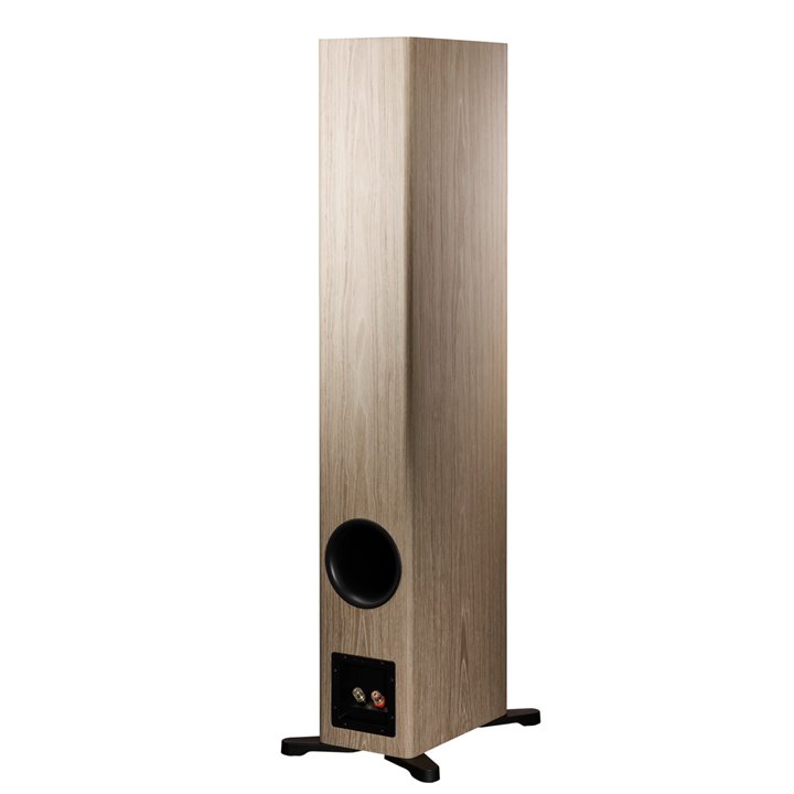 Dynaudio Evoke 50 (Blonde) 1szt - Raty 0% - Gwarancja producenta - Salon Łódź - Możliwy montaż u klienta