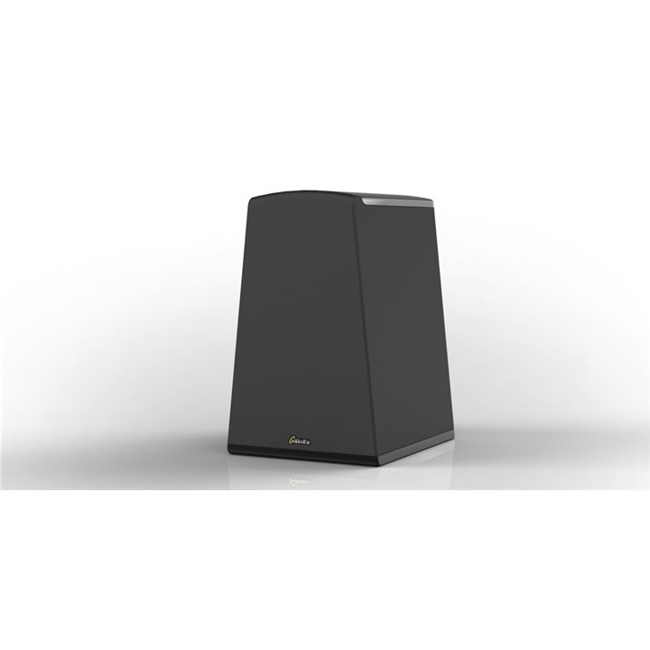 GoldenEar Technology Aon 2 1SZT - RATY 0% - GWARANCJA PRODUCENTA - SALON ŁÓDŹ - MOŻLIWY MONTAŻ U KLIENTA