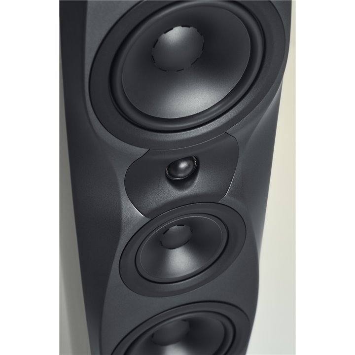 Dynaudio Confidence 30 (Ruby Wood) 1szt - Raty 0% - Gwarancja producenta - Salon Łódź - Możliwy montaż u klienta
