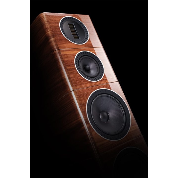 Wharfedale Elysian 2 (Orzech) 1SZT - RATY 0% - GWARANCJA PRODUCENTA - SALON ŁÓDŹ - MOŻLIWY MONTAŻ U KLIENTA